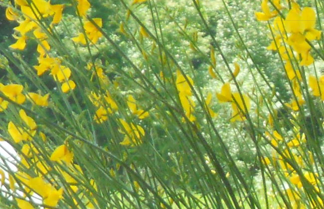 Agriturismo Monti Sibillini Camperato - Photo 32