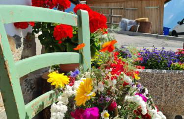 Piccola Suite sul Civetta - Foto 4