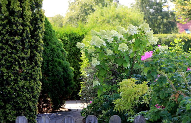 Lavish Apartment in Insel Poel With Sauna - Photo 21