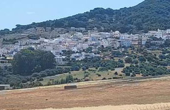 Alquiler Casita en Facinas - Foto 22