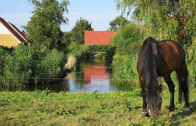 Beautiful House With Dishwasher and Sauna, 19 km From Hoorn - Foto 31