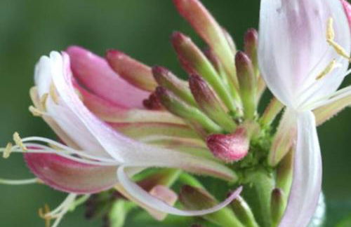 Harper’s Cottage, Fence, Lancashire - Foto 21