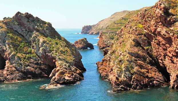 Berlenga Grande Snorkeling - Foto 3