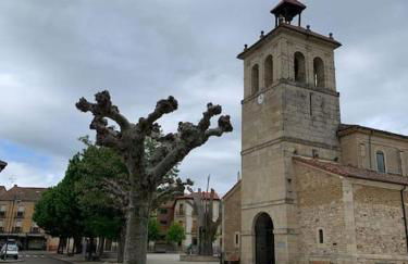 Alojamiento fiordos leoneses Boñar - Foto 7