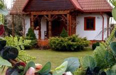 Siedlisko Gruszki Puszcza Białowieska - Foto 7