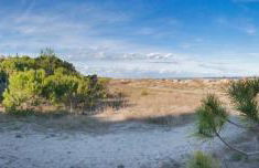 MAISONS BORD DE MER- MARINE DE SORBO - Gîtes 3 épis - Foto 55