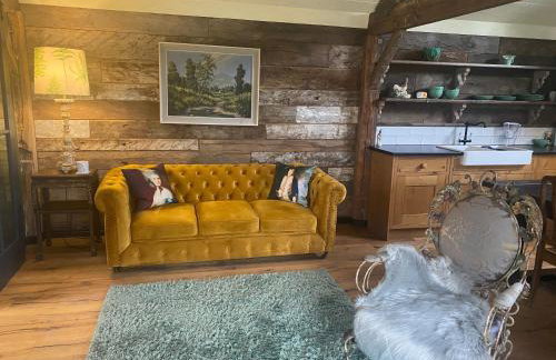 STARGAZER adult only - Foto 9