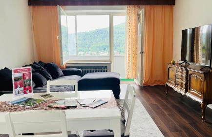 Panorama-Perle I 3-Zimmer-Wohnung mit Aussicht - Photo 1