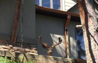 Morrison Colorado Mountain Getaway - Red Rocks - Foto 13