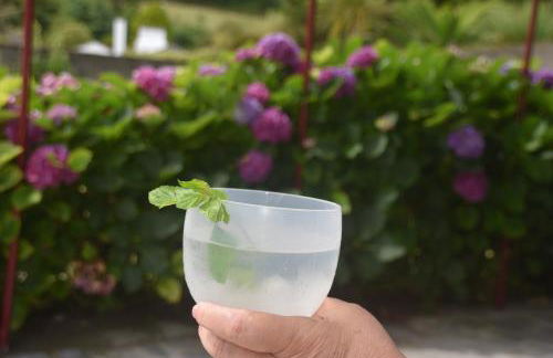 Casa do Vale - Photo 25