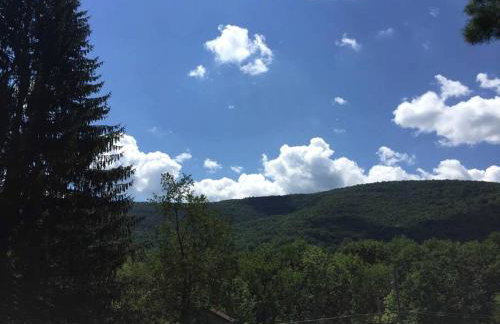 Rustic Couples' Cabin for Idyllic Catskills Getaway, Upstate New York - Foto 10