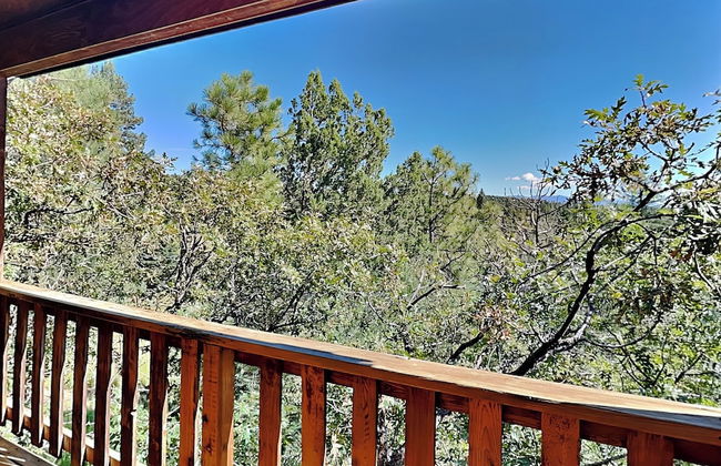 Enchanted Forest - Foto 43