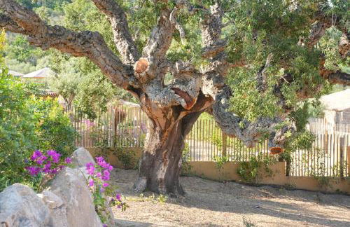 Résidence Vista Blu - Foto 66