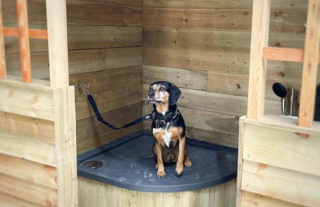 2 Woodbine Cottage - Photo 37