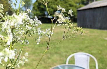 Humphries Cross Apartments - Foto 37