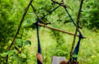 Pod Klonem - Photo 6