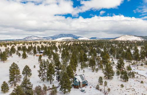 Wild Bill Retreat Treehouse Acre of Fun Near Grand Canyon Williams - Foto 48