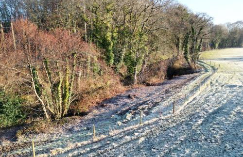 The Cabin Leat Road - Foto 12