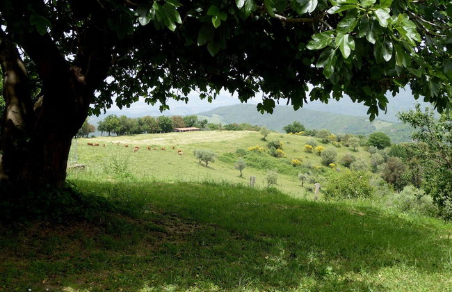 Belvilla by OYO Livorno - Foto 22