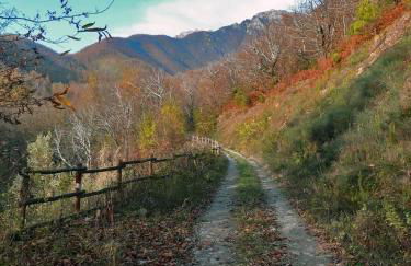 Appartamento Lucia - Foto 15