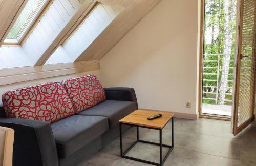 Mazursko - komfortowe apartamenty nad jeziorem, sauna, kominki na parterze - Foto 26