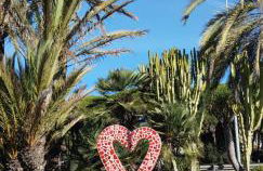 Apartamento con jardín y piscina Pet friendly - Photo 53