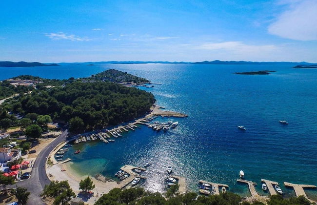 Iva - Great Garden - H - Photo 22