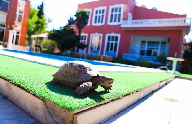 Premier Villas - Foto 31