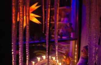 Ferienwohnung Aronia Garten - Foto 25