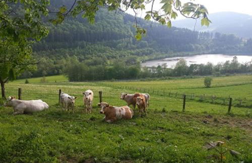 Ferienwohnung Hilleseeblick - Foto 15