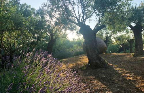 Cozy Chalet in Castell'Arquato 90 m² with Private Pool - Foto 69