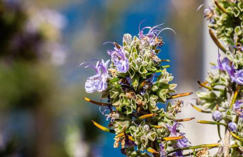 Apartment One - Foto 44