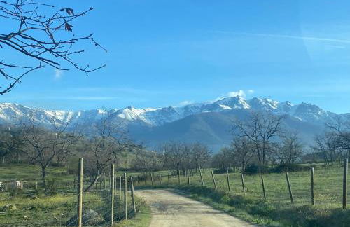 La Casa De Marta - Foto 8