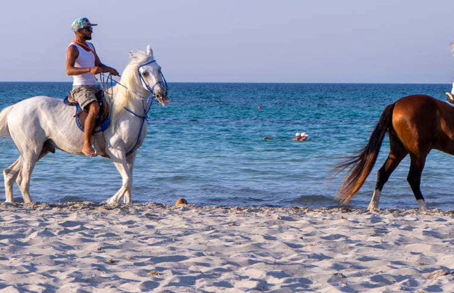Paseo a caballo por la laguna de Djerba - Foto 1
