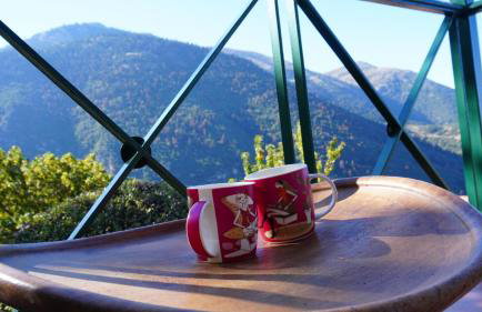 Kalavryta Villa Nano with fireplace and next the Ski Centre - Photo 9