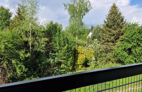 Skansen Forest - Foto 18