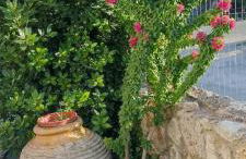 Politimis house - Foto 2