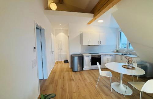 Marktplatz 14 Penthouse Apartments Bad Buchau - Foto 7