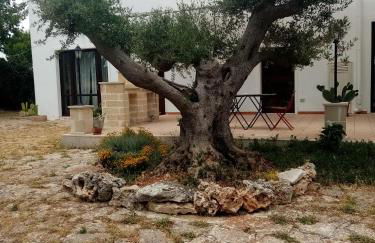 masseria chianca " Le Gravine" - Foto 1