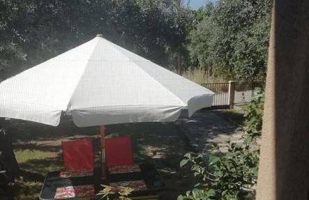 John and Tania's Garden - Photo 7