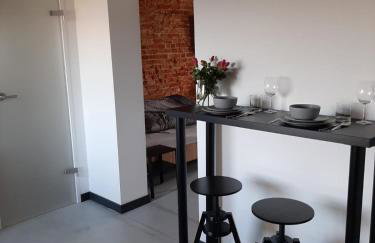 Apartamenty Gliwice Staromiejska 65 - Foto 77