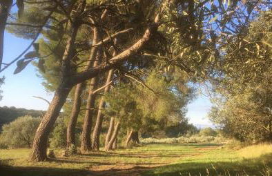 Ecolodge Au fil de l'eau, avec piscine intérieure et parc arboré - Foto 24
