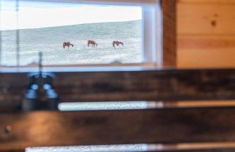 Peaceful Valley Retreat - Foto 24