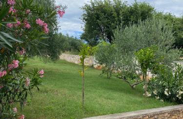 Stancija Marusi - Foto 12