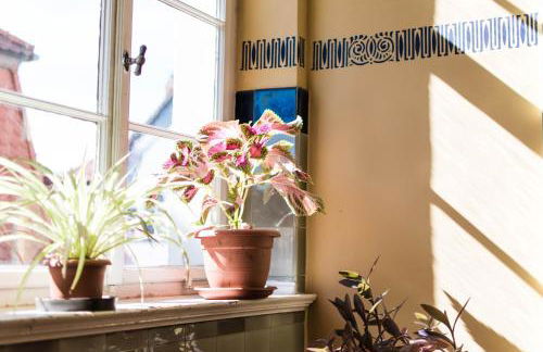 Modern design im klassischem Altbau - Foto 49