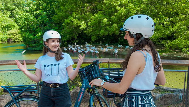 Escapada al parque de la Tête d'Or