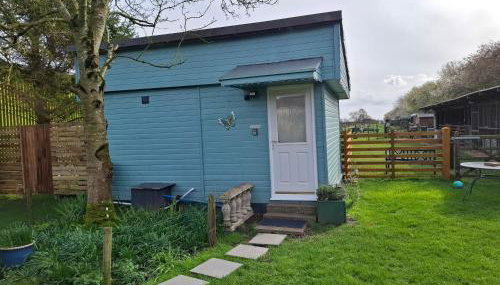 Mardi Gras, Upwell - Foto 2