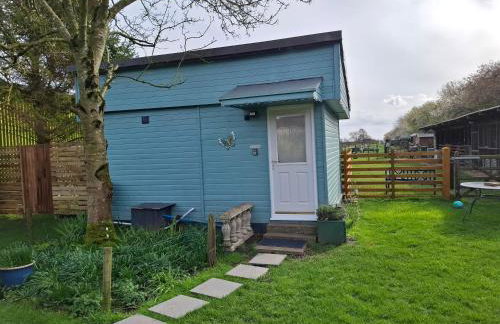 Mardi Gras, Upwell - Foto 2