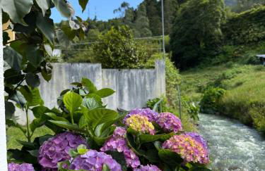 B&C Furnas House - Photo 43