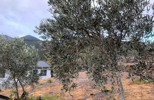 Casa do Julien Mountain Experience - Foto 27